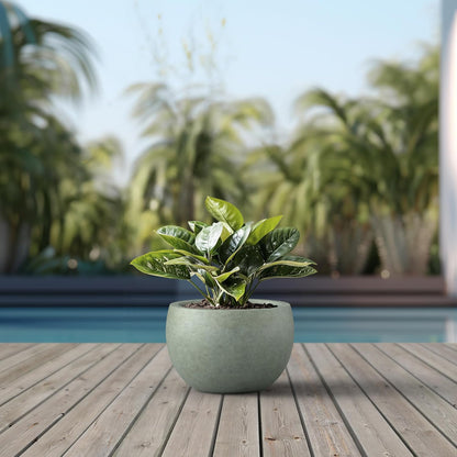 Kante 19.9" Dia Round Concrete Planter, Outdoor/Indoor Large Bowl Plant Pots with Drainage Hole and