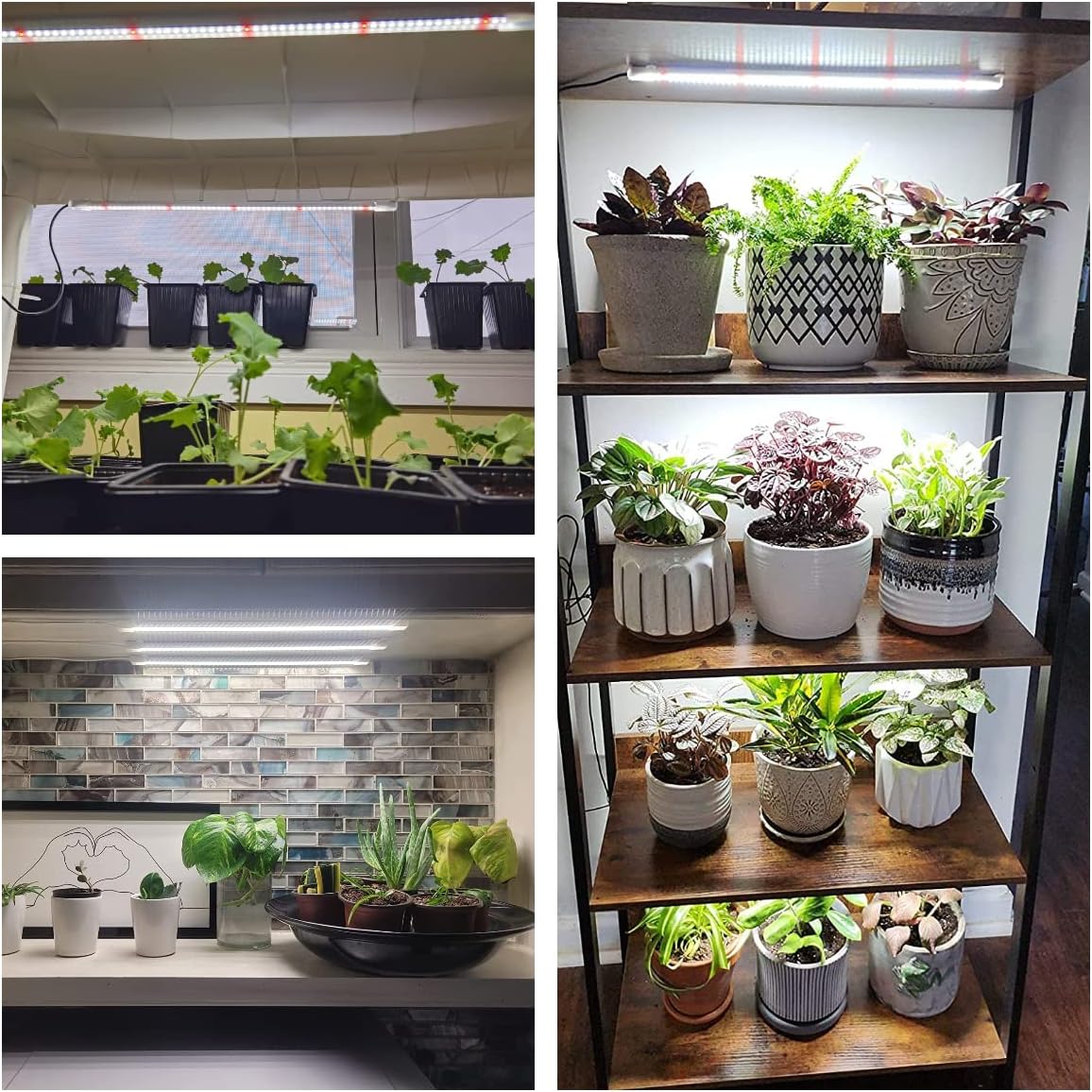 Wiaxulay LED Grow Light Strips, 6000K Full Spectrum Sunlike Growing Lamp with 6/12/16H Timer, 5