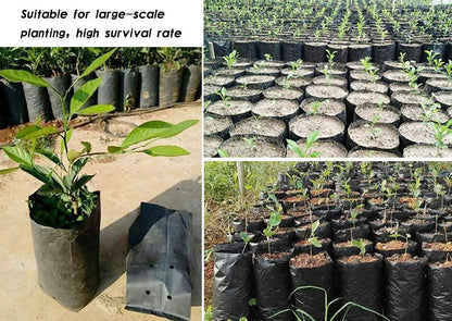 100 PCS Thicken Plastic Nursery Bags for Plants Fruit Flower Grow Bags Seedling Pots (7.87x11.81 in)