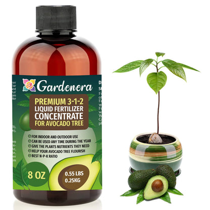 Premium Liquid Avocado Plant Fertilizer - 3-1-2 Concentrate for Indoor Plants and Flowers by