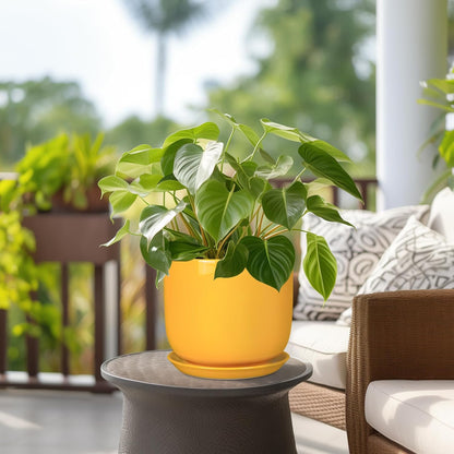 Ceramic Plant Pot 8 Inch - Decorative Modern Round Indoor Planter for Plants Flowers with Drainage