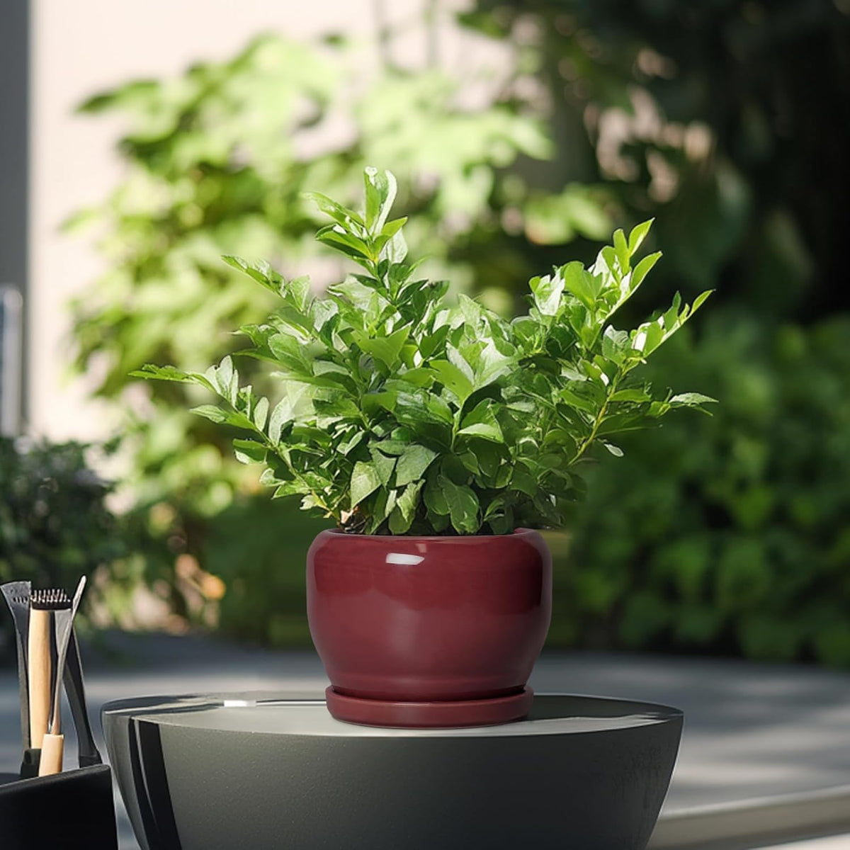 SQOWL 6 Inch Plant Pot - Ceramic Planter for Indoor Plants Outdoor, Round Planter with Drainage