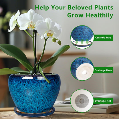 Ceramic Modern Glaze Succulent Planter Pot with Drainage Hole and Saucer 6 Inch Round Flower Plant
