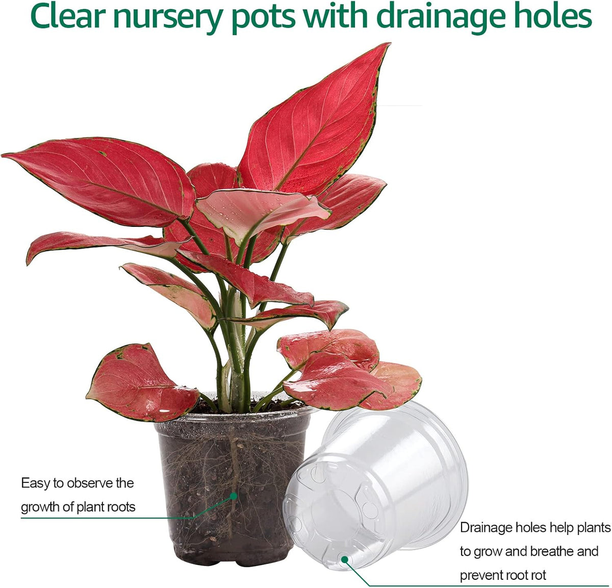 30 Packs 4 Inch Reinforced Clear Nursery Pots with Humidity Dome, Transparent Variety Pack Plastic