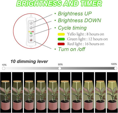 Plant Grow Light for Indoor Plant,Bamboo Mini LED Grow Light Garden,Height Adjustable,Automatic