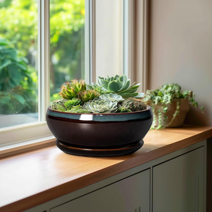 SQOWL Bonsai Tree Pots - 10 Inch Ceramic Succulent Pots with Drainage Hole and Saucer, Round