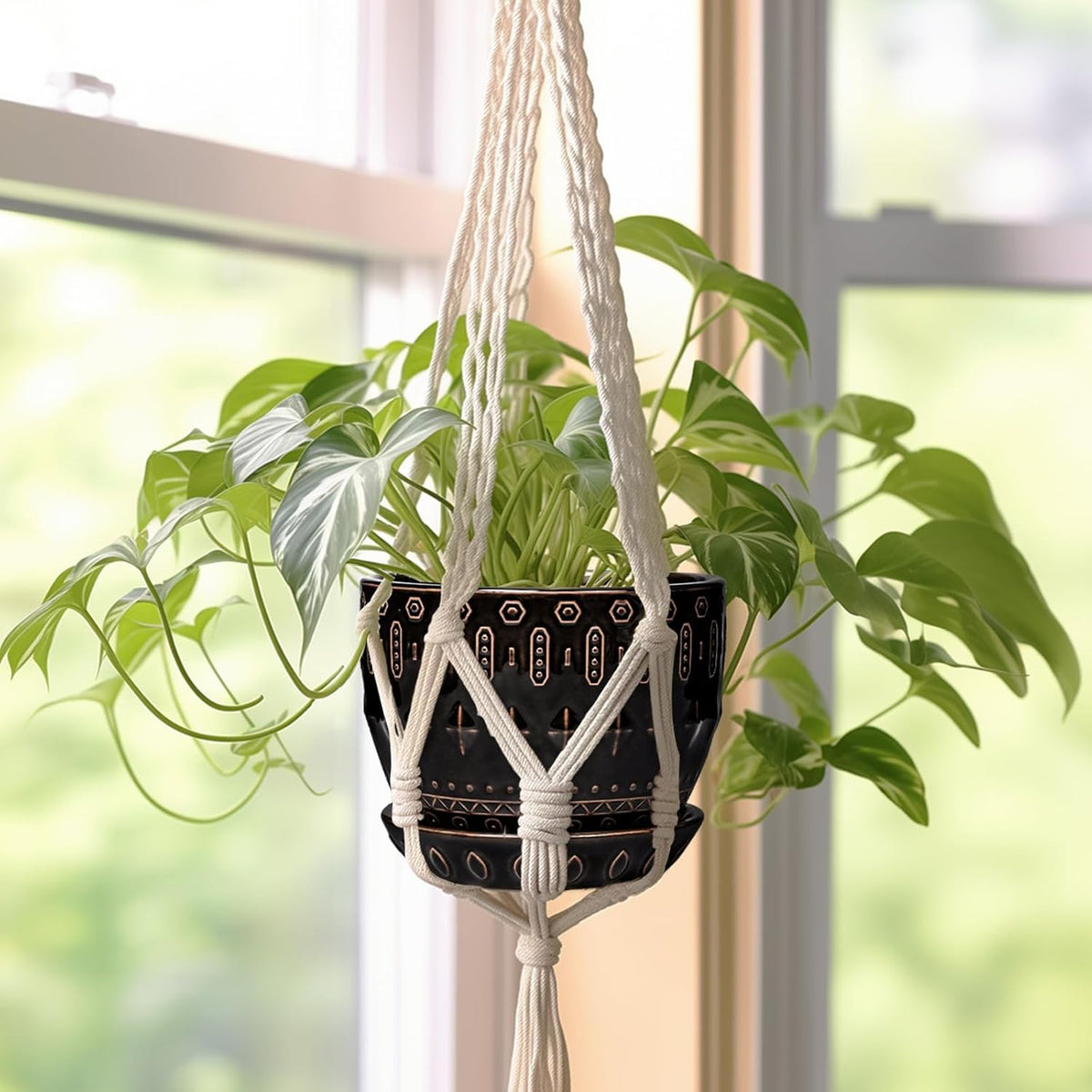 G EPGardening Ceramic Pot for Plants 5.5 Inch - Ceramic Plant Pot Indoor with Drainage Hole and