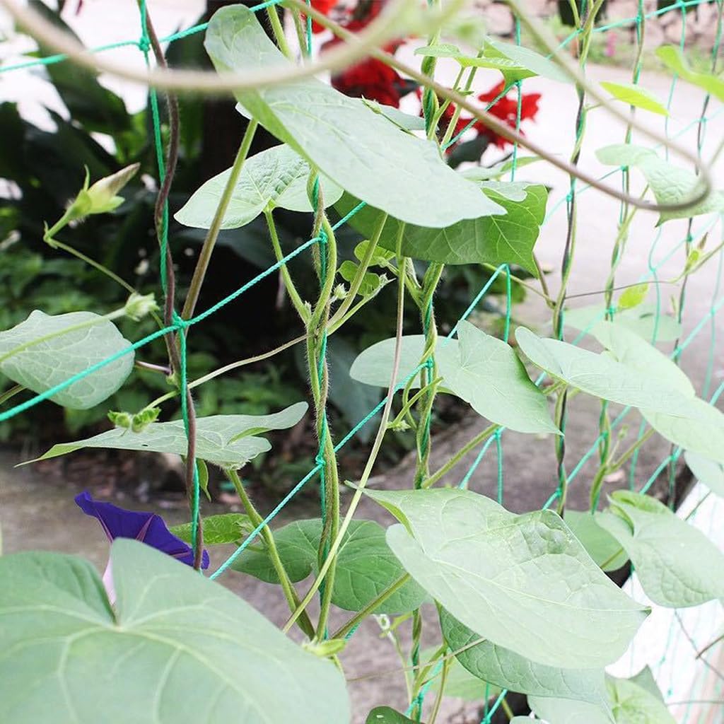 Garden Netting & Trellis Netting Garden Net for Climbing Plants Grape Tomato Green Bean Cucumber