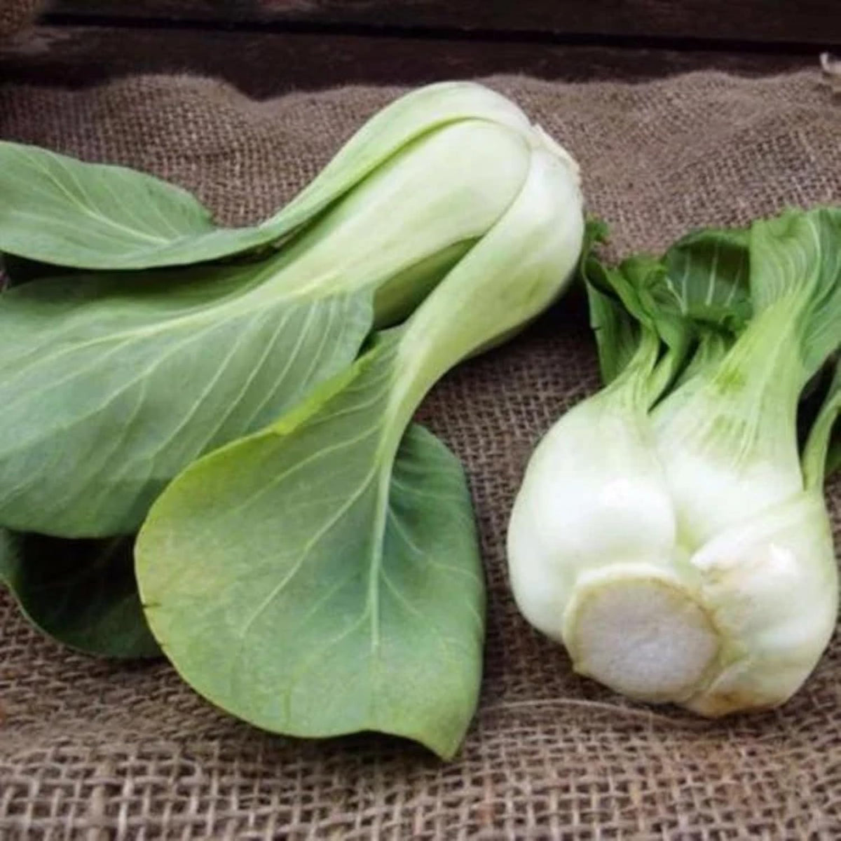 All Year Round Organic Chinese Cabbage Seeds, 1000pcs, Non-GMO, High 95% Germination, Perfect for