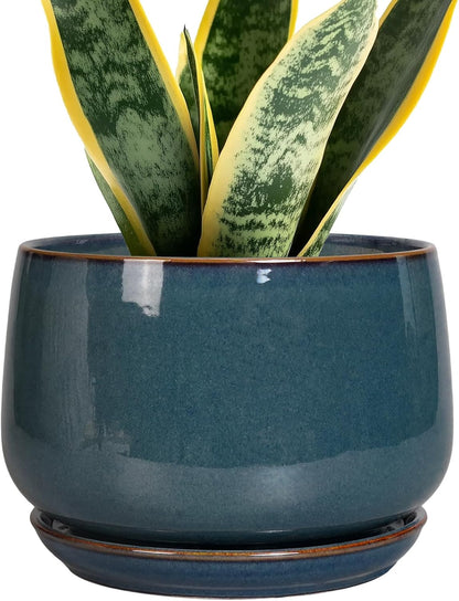 G EPGardening Ceramic Pot for Plants - Modern 7 Inch Round Planter with Drainage and Tray Indoor