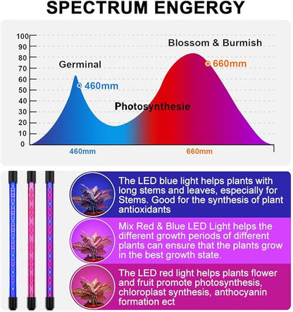LED Grow Lights for Indoor Plants, 80W Plant Grow Lights Full Spectrum Auto ON Off with 3/9/12H