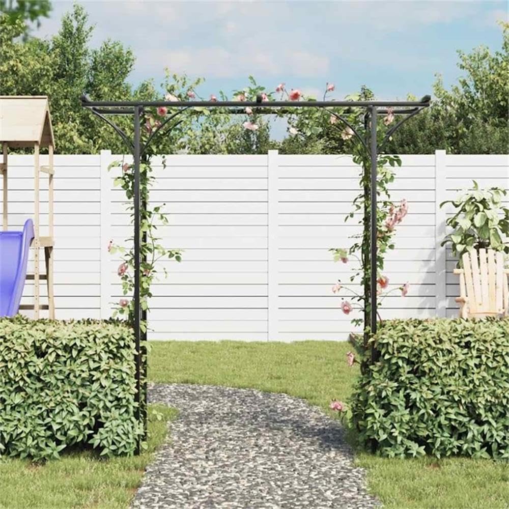 Pemberly Row 78.7 X 20.5 X 80.3 Durable Iron Garden Arch in Black