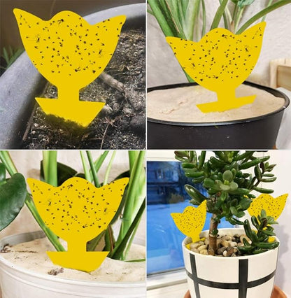 48 Pack Fruit Fly Traps for Indoors Plants Fungus Gnat Killer Trap Outdoor, Sticky Fly Catcher for