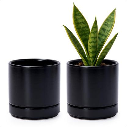 D'vine Dev Set of 2 Plants Pot, 4.7 Inch Ceramic Planter Pot for Plants with Drainage Hole and