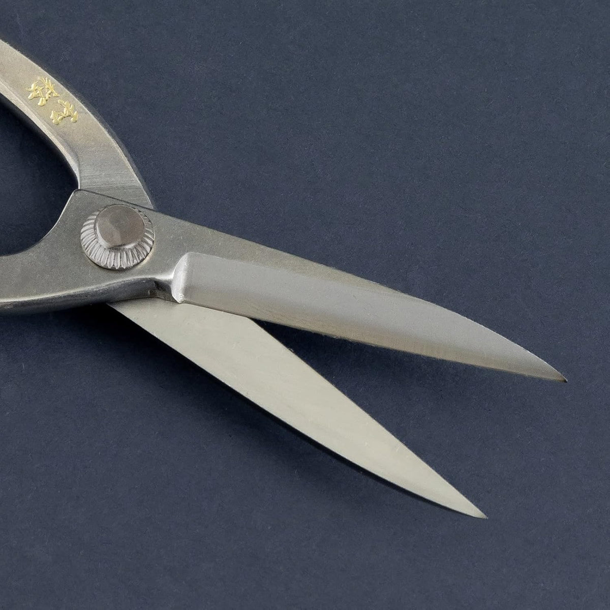 Wazakura Yasugi Stainless Steel Made in Japan Ashinaga Bonsai Scissors 8" (200 mm), Pruning Shears