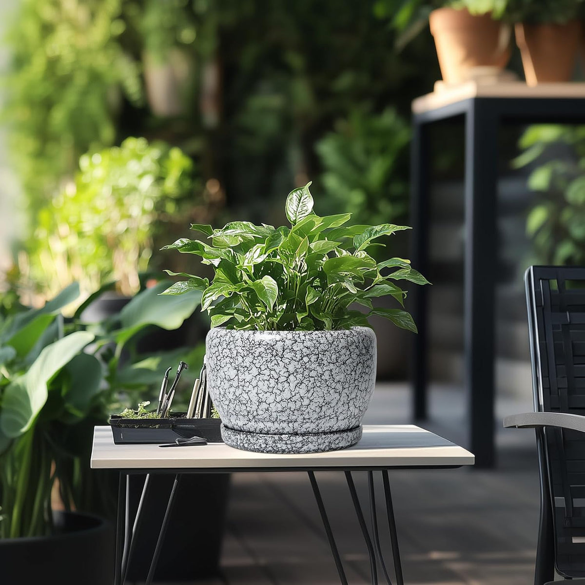 SQOWL 8 inch Plant Pot - Ceramic Planter with Drainage Hole and Saucer, Round Flower Pot for Indoor