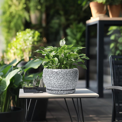 SQOWL 8 inch Plant Pot - Ceramic Planter with Drainage Hole and Saucer, Round Flower Pot for Indoor