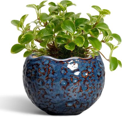 Ceramic Pots for Plants - 4 inch Plant Pots for Indoor Outdoor, Small Planter with Drainage Hole