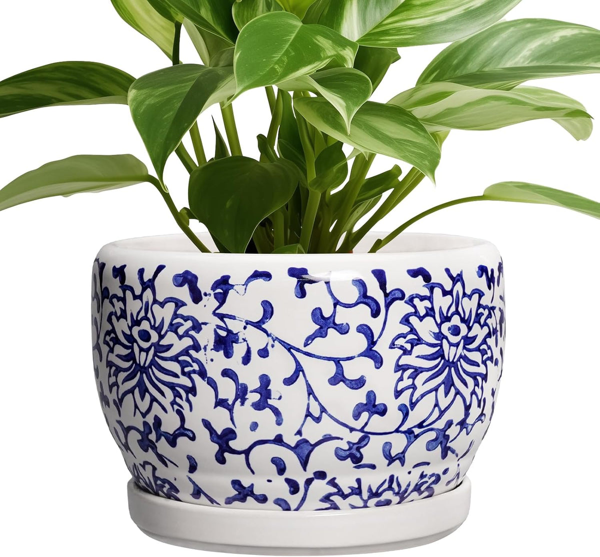 SQOWL Ceramic Pots for Plants - 8 inch Ceramic Planter with Drainage Hole and Saucer, Round Flower