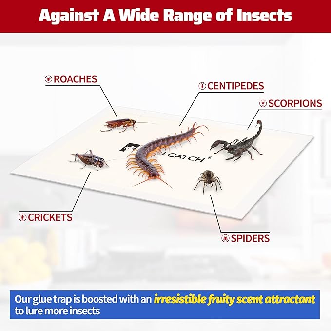 LULUCATCH Cricket & Insect Glue Traps 24 Pack, Adhesive Bug Catcher, Pre-Baited Spider Scorpion