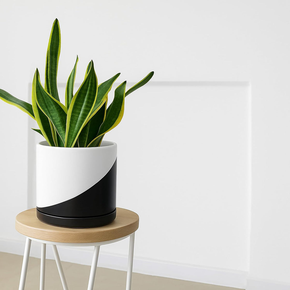 D'vine Dev 10 Inch Ceramic Planter Pot with Drainage Hole and Saucer, Indoor Cylinder Round Planter