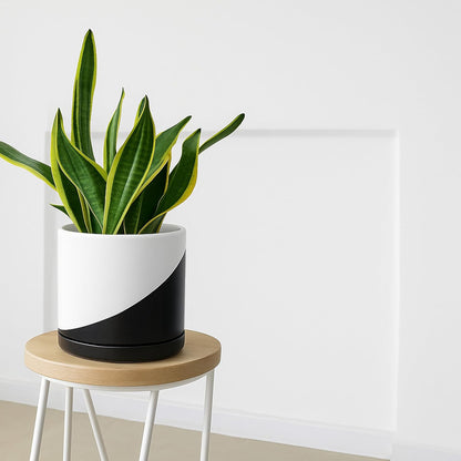 D'vine Dev 10 Inch Ceramic Planter Pot with Drainage Hole and Saucer, Indoor Cylinder Round Planter