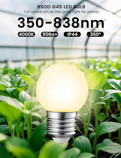 Full Spectrum Light Bulb, LED Light Bulb G45 Small Lightbulbs E26 White 5W Eq 40W Sunlight Night