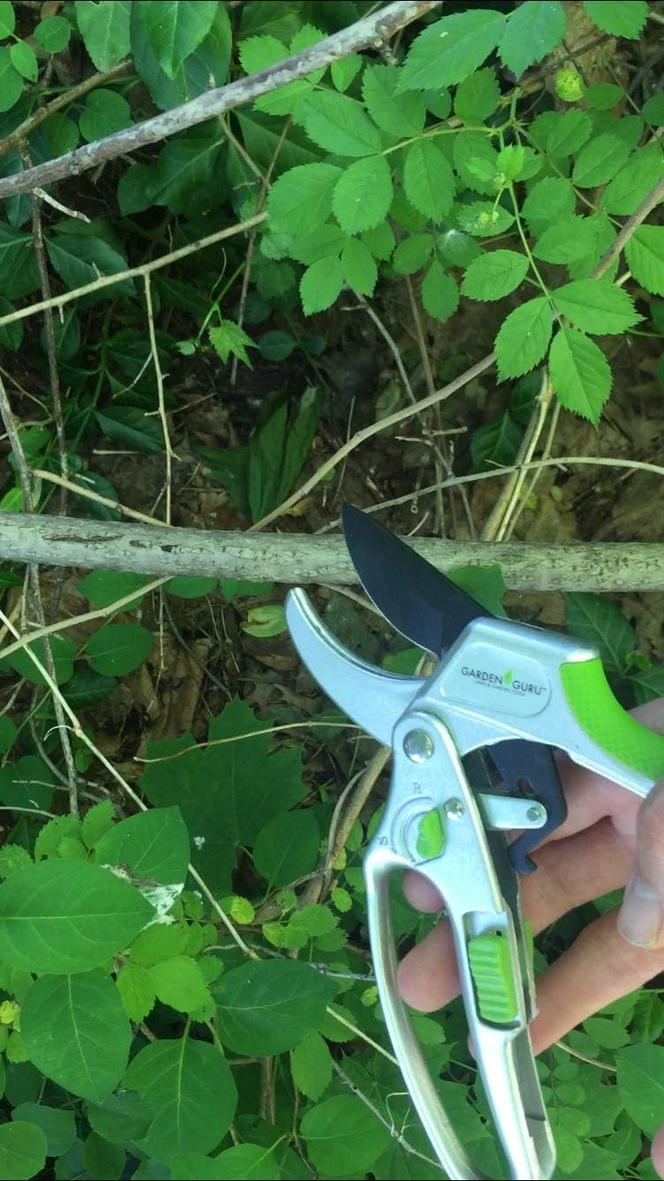 Garden Guru 2 in 1 Ratchet Pruning Shears Clippers – 4X Cutting Power – Ratcheting Garden Anvil