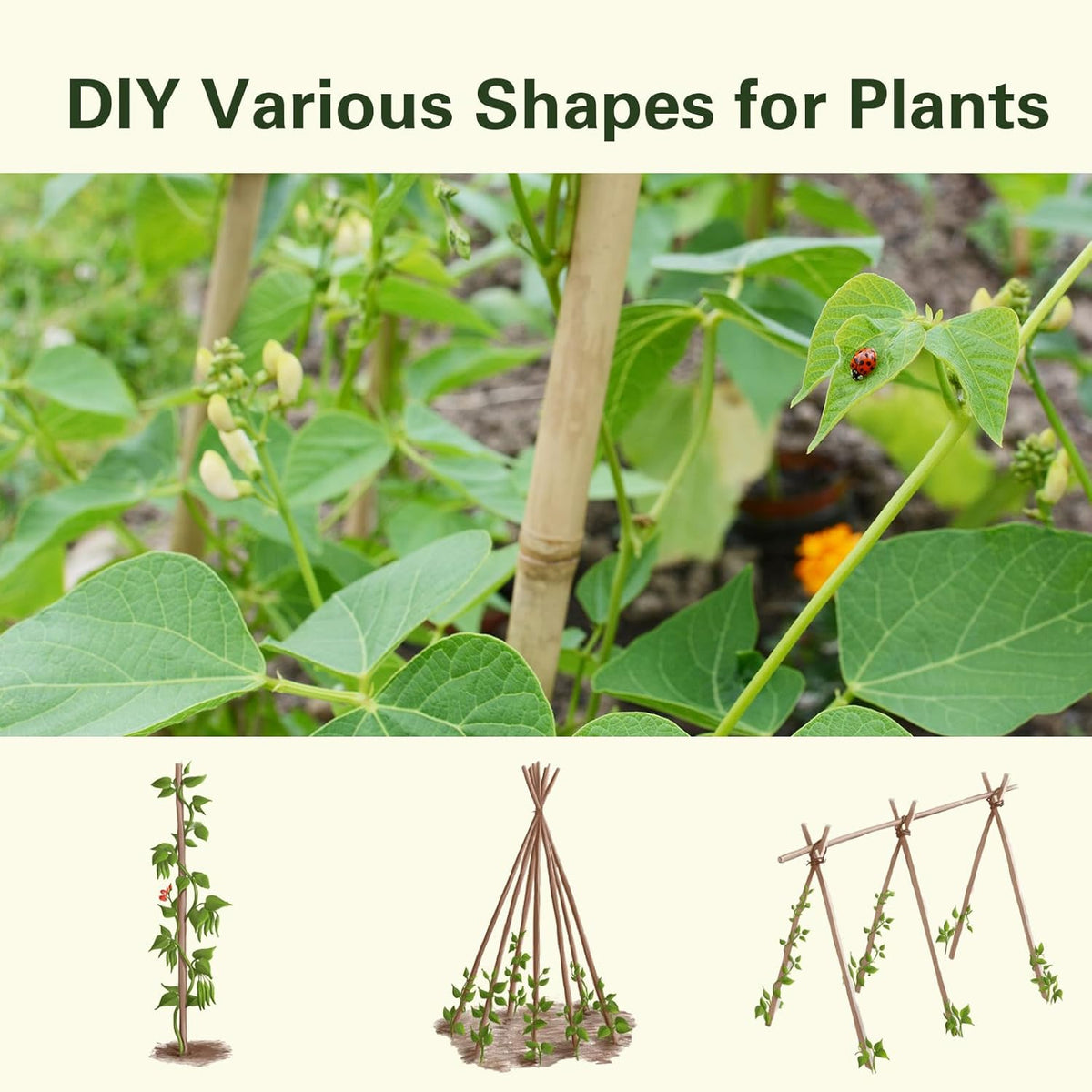 Bamboo Stakes 2FT 35pcs, 24 inch Garden Stakes Multi-Purpose, Bamboo Plant Support Stakes for
