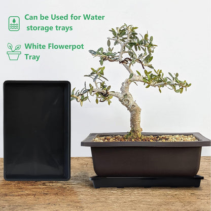 5 Pack Nursery Potting Tray, Carrying and Holding Plant Tray for Seeds Starting Pot, Collecting