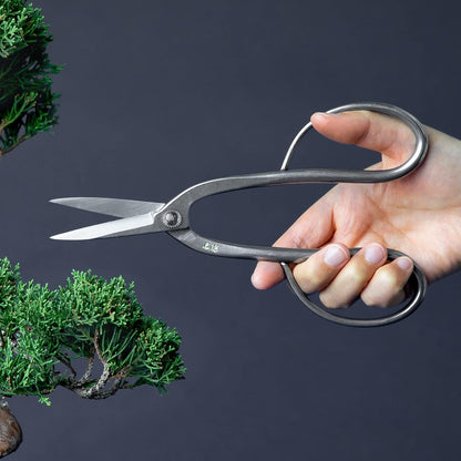Wazakura Yasugi Stainless Steel Made in Japan Ashinaga Bonsai Scissors 8" (200 mm), Pruning Shears