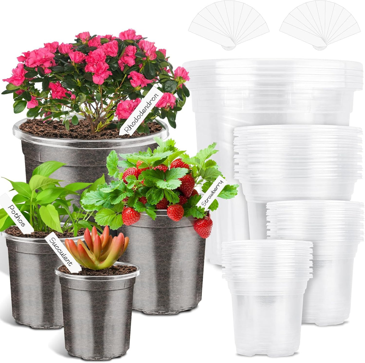 PACETAP 40Pack 6.5/5/4/3.5 Inch Reinforced Clear Nursery Pots with Drainage Holes, Variety Pack