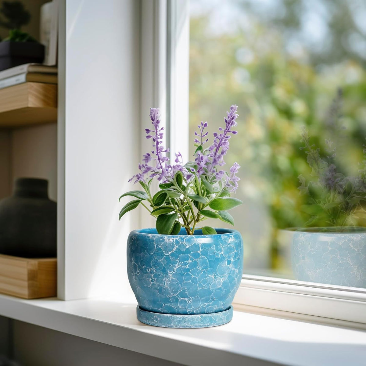 SQOWL 6 Inch Plant Pot - Ceramic Indoor Planter with Drainage Hole and Saucer, Decorative Ceramic