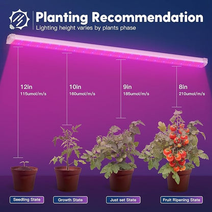 FREELICHT 1 Pack 4FT LED Grow Light, 40W (250W Equivalent), Red Blue (660nm+460nm) Full Spectrum