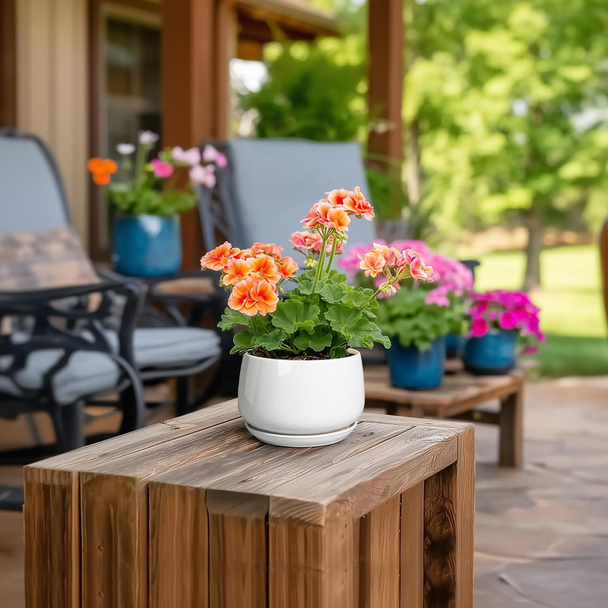 G EPGardening Ceramic Plants Pots - 4 inch Succulent Pots for Indoor Outdoor, Small Planter with