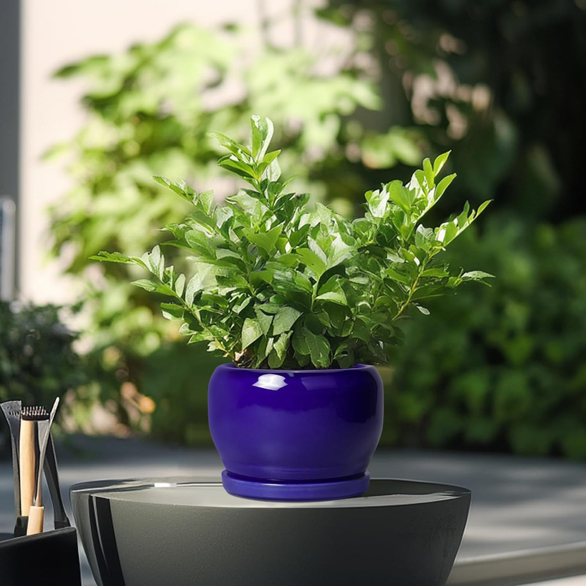 SQOWL Ceramic Planters for Indoor Plants - 6 Inch Plant Pot with Drainage Hole and Saucer, Round