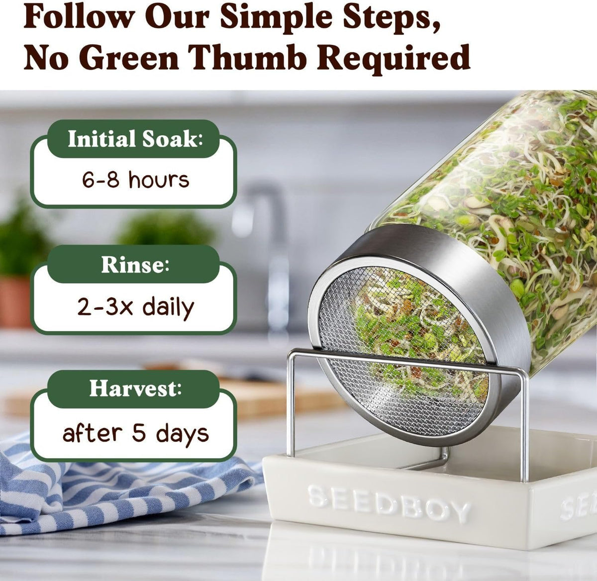 Seedboy Organic Non-GMO Sprouting Seeds, Fresh Salad Blend – USA Grown Microgreens Mix with