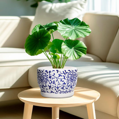 SQOWL Ceramic Pots for Plants - 8 inch Ceramic Planter with Drainage Hole and Saucer, Round Flower