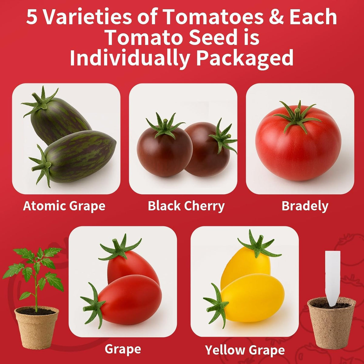 5 Pack Tomato Seeds for Planting - 100+ Heirloom Tomato & Tomatillo Seeds Variety Pack to Grow in