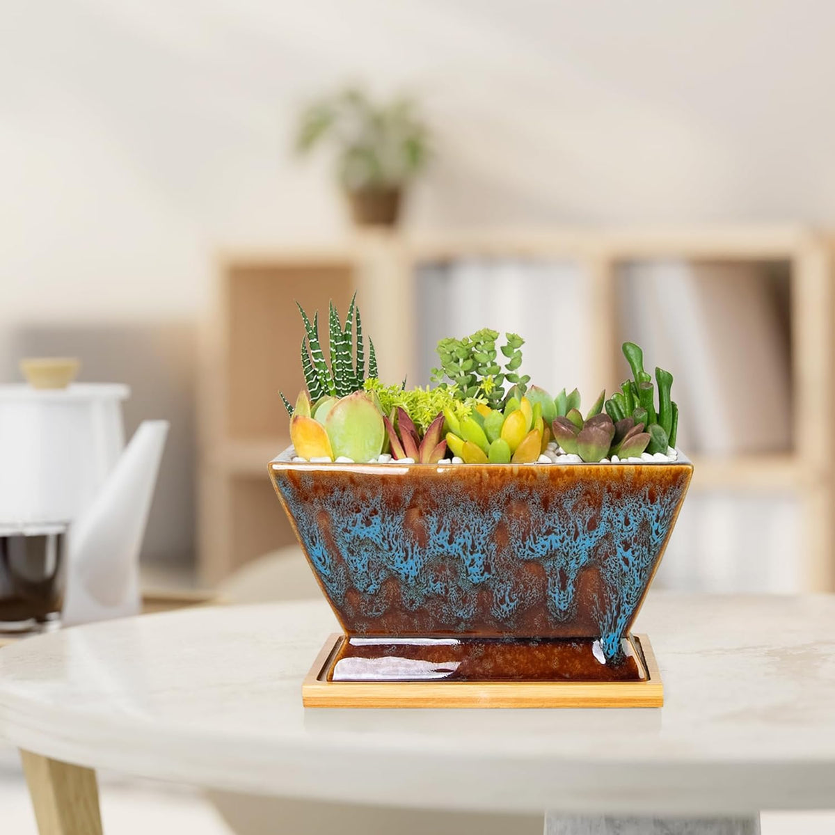 ARTKETTY Succulent Pots - 7 Inch Large Plant Pot with Drainage Tray, Shallow Ceramic Pots for
