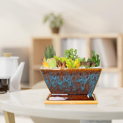 ARTKETTY Succulent Pots - 7 Inch Large Plant Pot with Drainage Tray, Shallow Ceramic Pots for