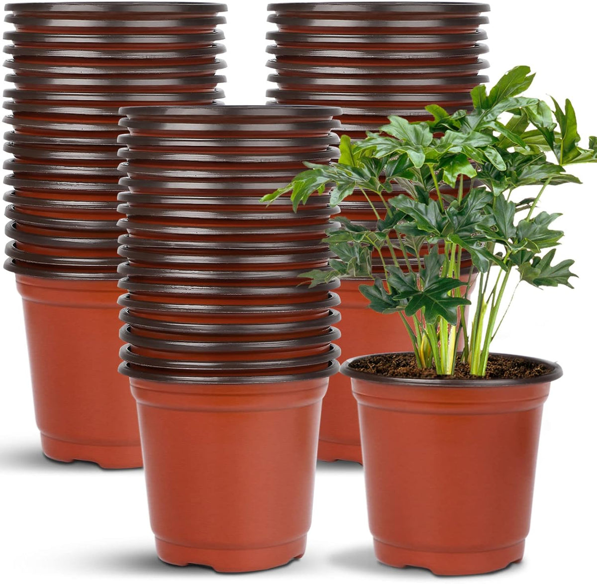 Augshy 40 Pcs 6" Plastic Plant Nursery Seed Starting Pots for Indoor Outdoor Succulent Seedling