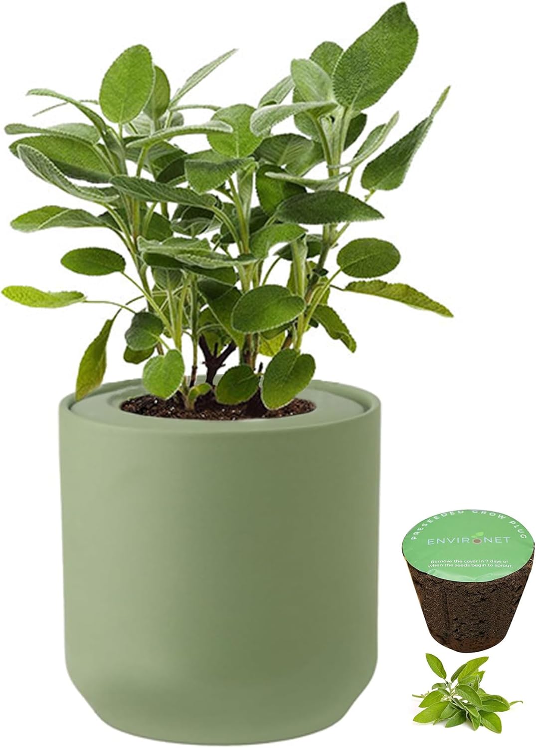 Hydroponic Herb Growing Kit, Self-Watering Kitchen Herb Garden Starter Kit with Green Ceramic Pot