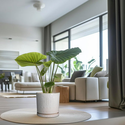 Ceramic Pots for Plants 12 Inch - Large Ceramic Planters for Indoor Plants Outdoor Modern Flower