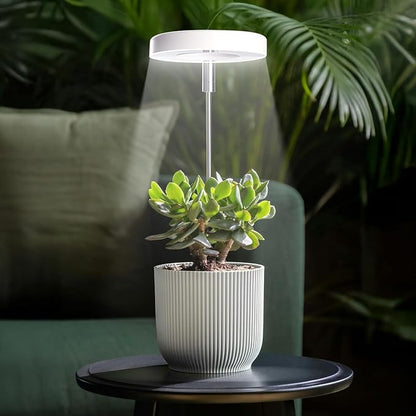 Grow Lights for Indoor Plants Small Potted - Full Spectrum, Auto 3/9/12H Timer, 10-Level Dimming &