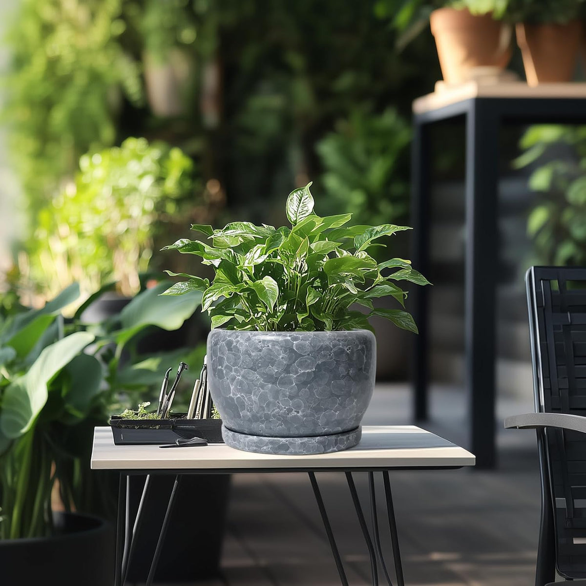 SQOWL 8 inch Plant pots Indoor - Ceramic Planter with Drainage Hole and Plant Saucer, Decorative