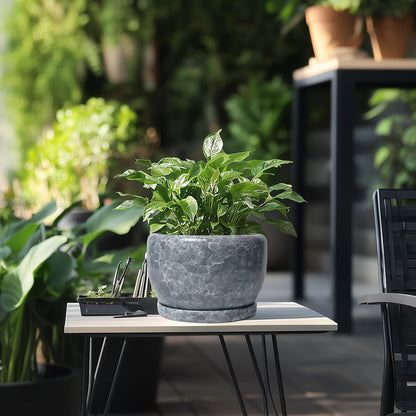 SQOWL 8 inch Plant pots Indoor - Ceramic Planter with Drainage Hole and Plant Saucer, Decorative
