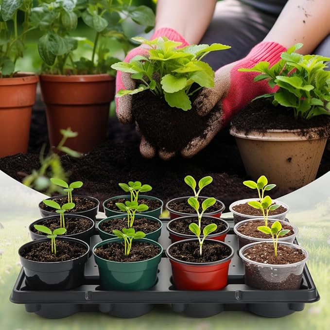 12 Cell Round Nursery Pot Trays Thickened Durable Seedling Pots Shuttle Carrying Trays for Holding