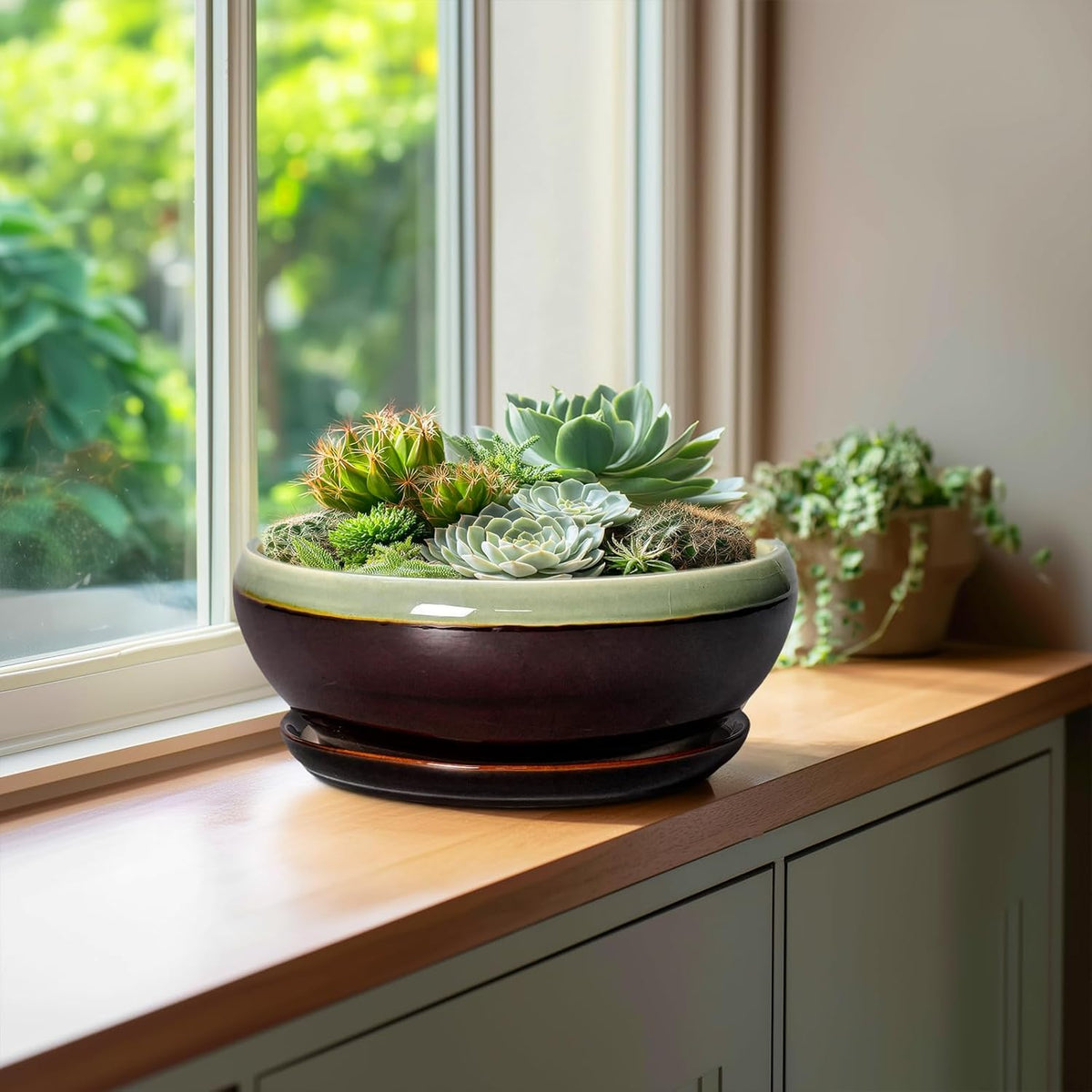 SQOWL Succulent Planters 10 Inch - Ceramic Bonsai Pots with Drainage Hole and Saucer, Shallow