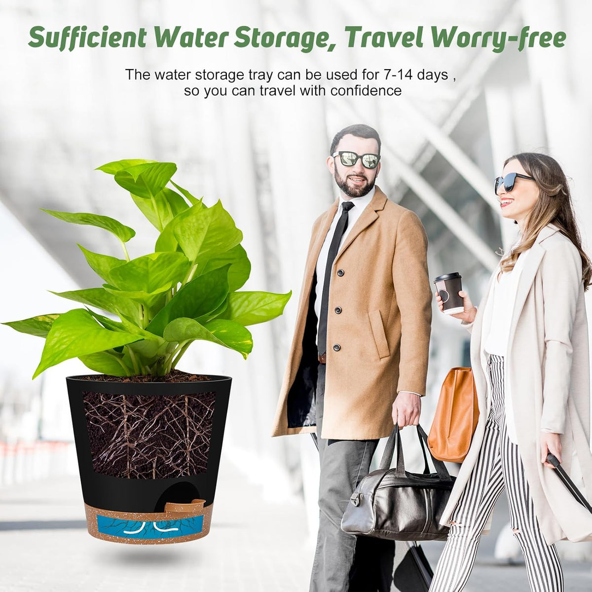 Indoor Self Watering Planters with Drainage Holes and Saucers, 8, 7, 6.5, 6, 5.5, 5 Inches, Black
